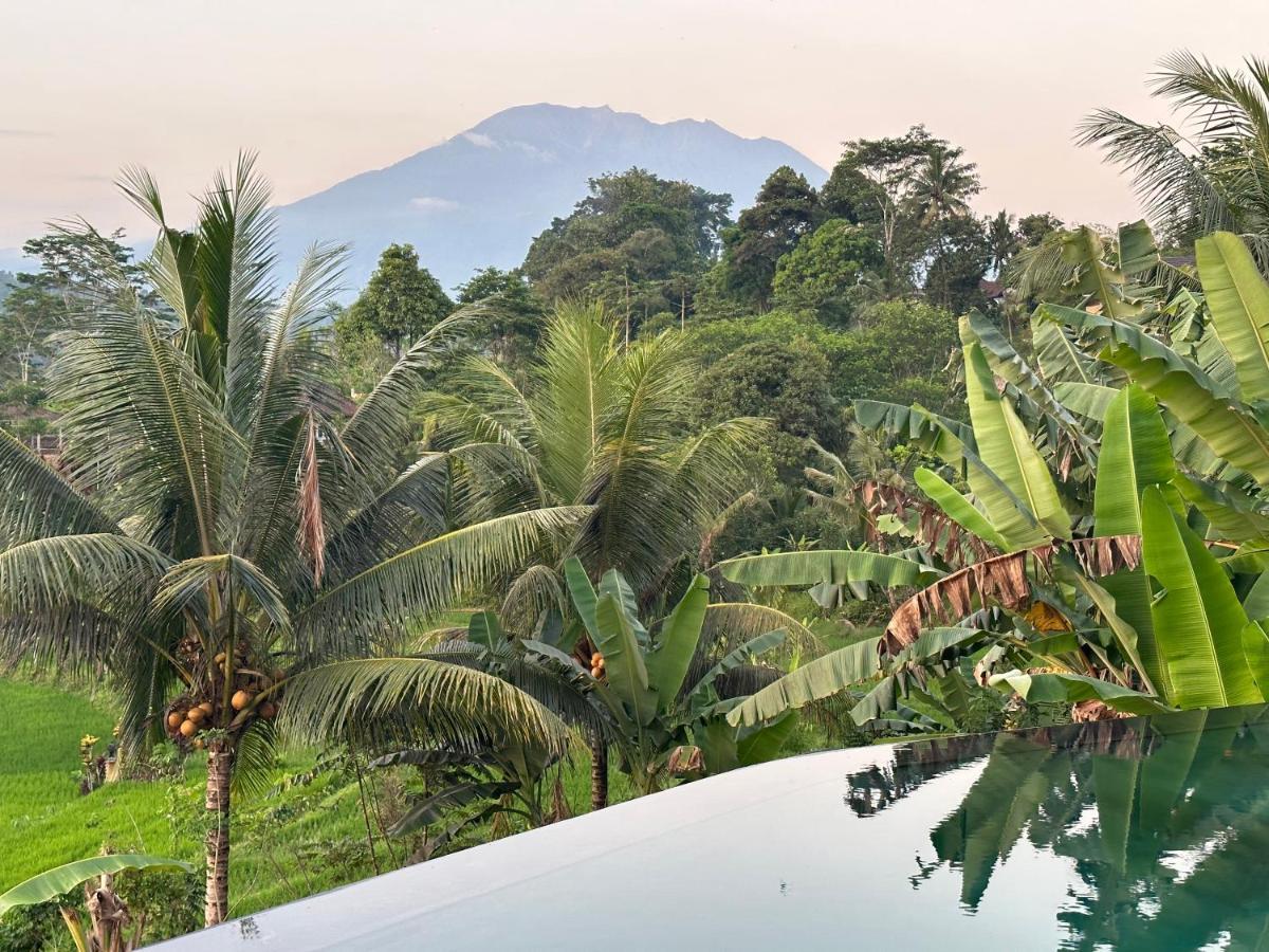 Nana Suites Villa Sidemen (Bali) Exterior foto